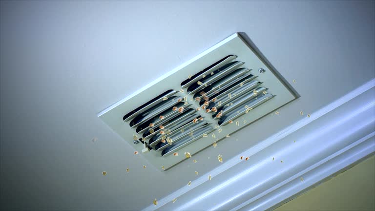 Best HVAC Air Duct Cleaning  in Clear Lake Shores, TX