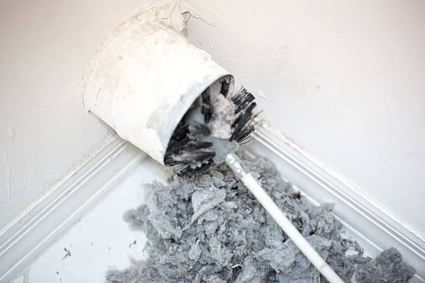 Best Affordable Duct Cleaning Services  in Clear Lake Shores, TX